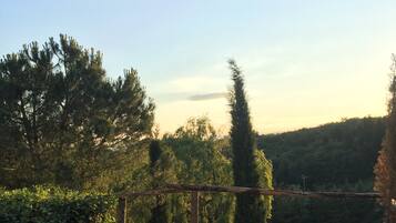 Middag serveras, med utsikt mot trädgården