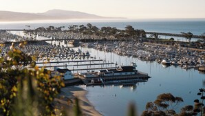 A marina with numerous boats docked, a pier, and a beach area. - Blue Lantern Inn, A Four Sisters Inn (Dana Point)