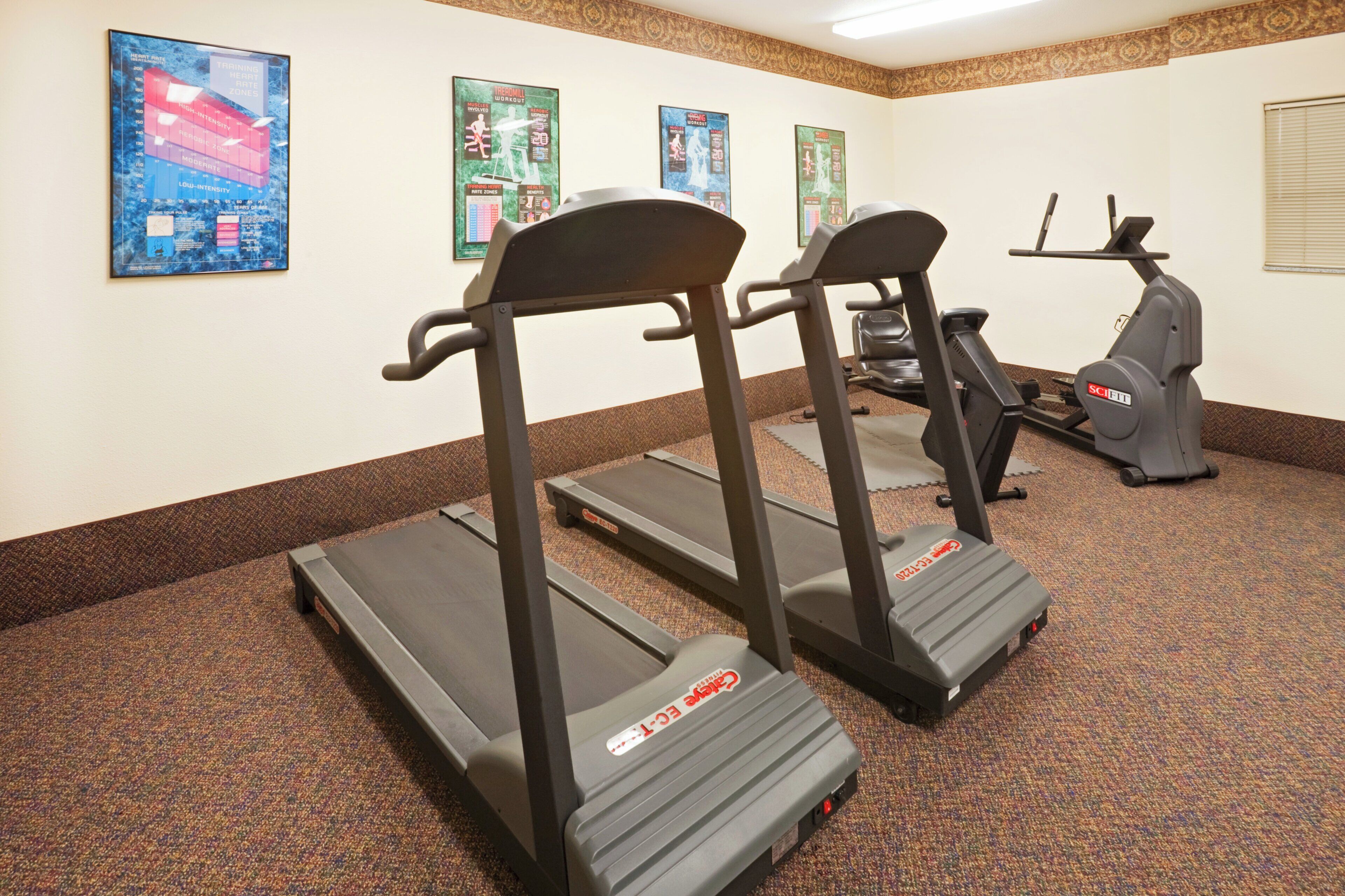 A fitness room with treadmills and an elliptical machine.