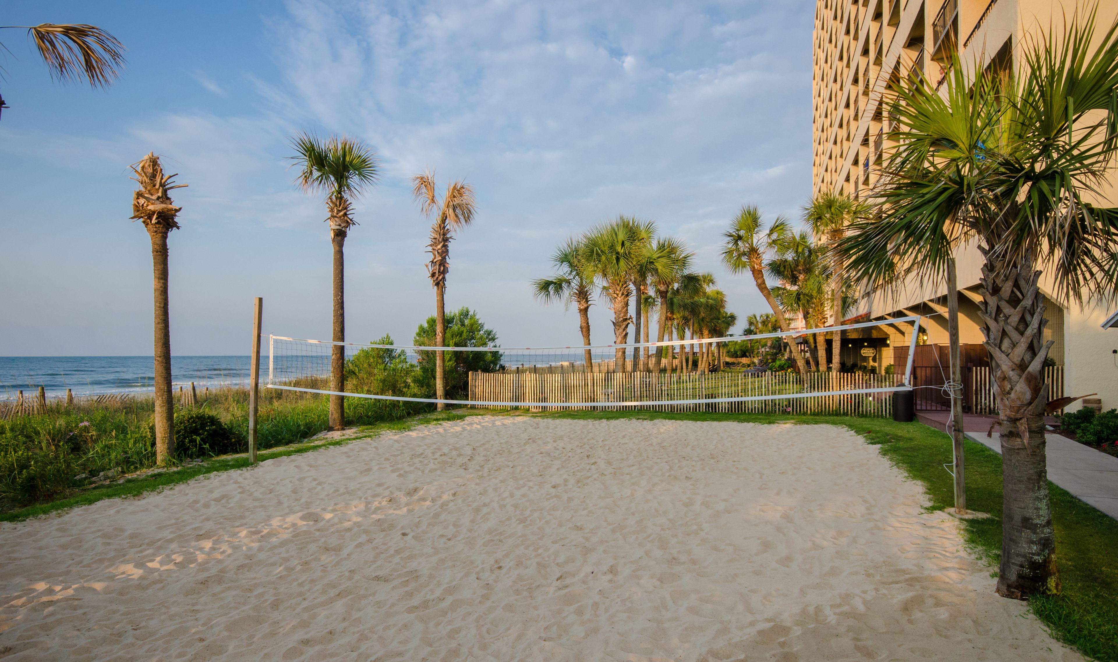 A sandy beach volleyball court with a net, surrounded by palm trees and a building in the background.