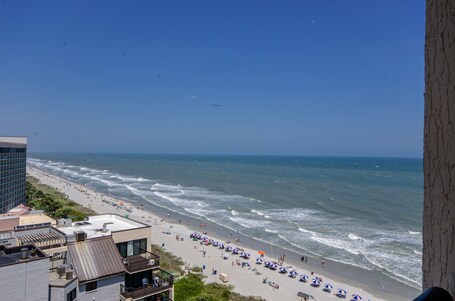 Ocean Reef Resort - Image 3