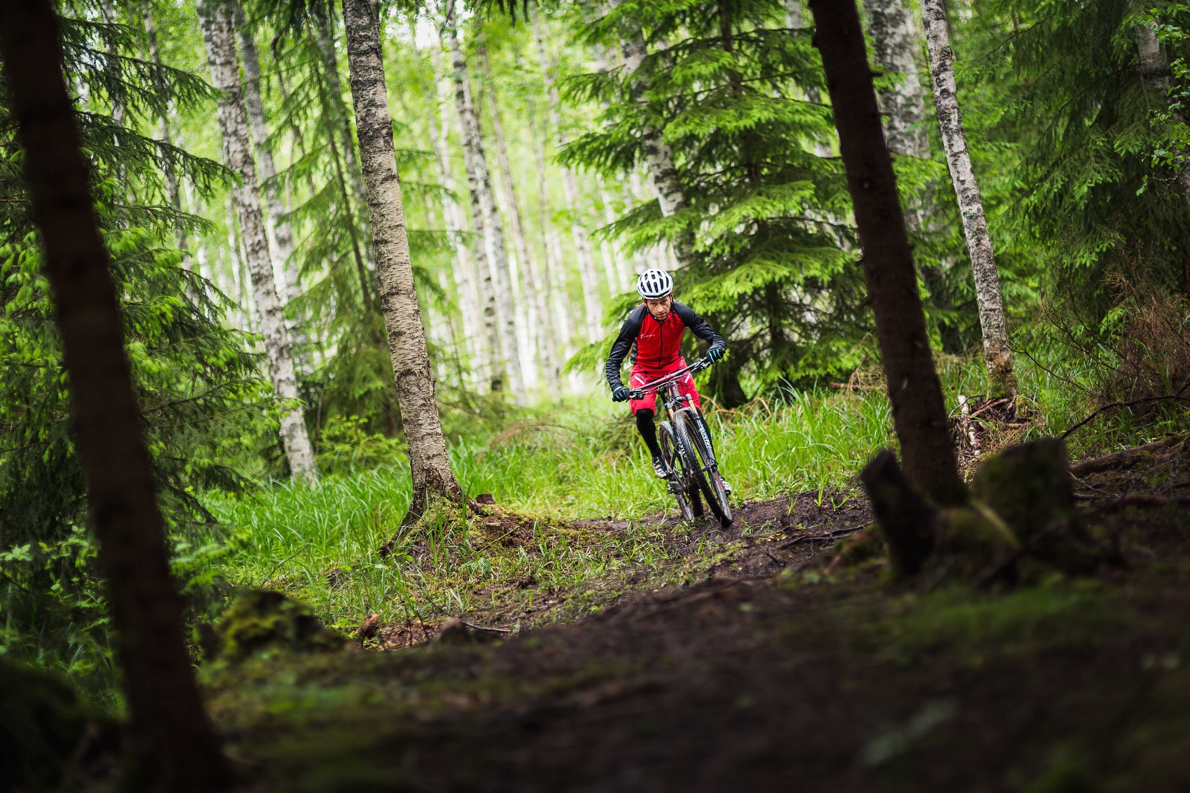 Ciclista de montaña en un sendero rodeado de bosque denso.