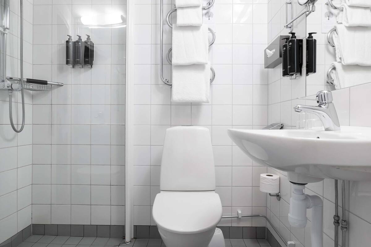 eco-friendly toiletries, hair dryer, towels