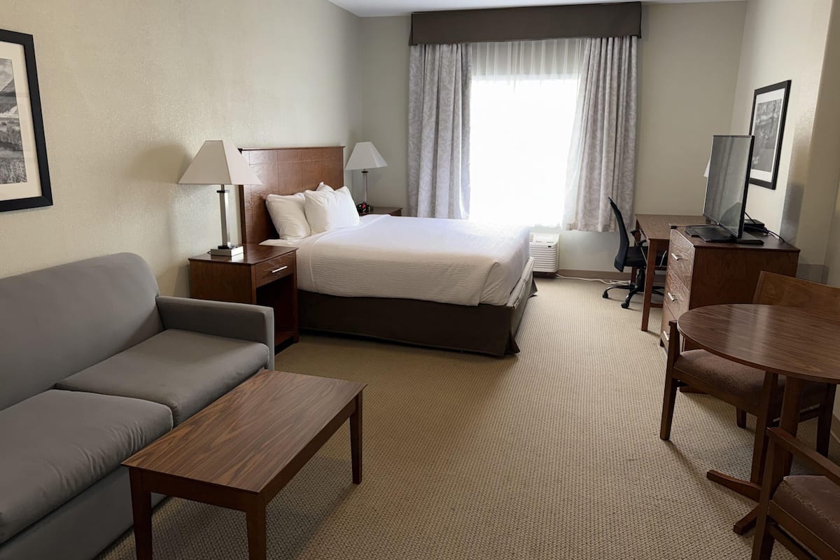 Une chambre d’hôtel avec un lit, un canapé, un bureau, une chaise et un téléviseur.