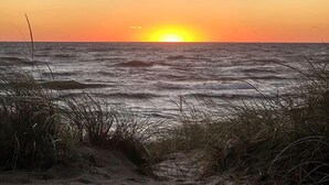 Une scène de plage avec des vagues et des herbes au premier plan.