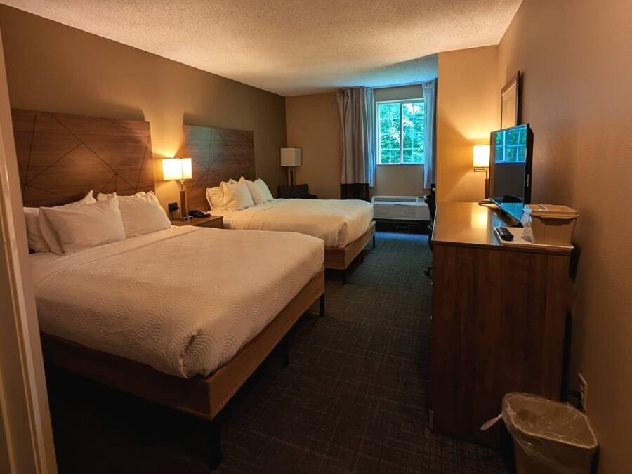Standard Room, 2 Queen Beds, Non Smoking | Premium bedding, desk, laptop workspace, blackout curtains