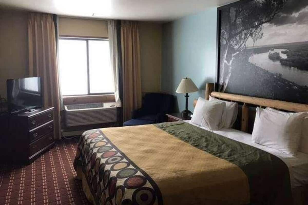 Een hotelkamer met een bed, een televisie, een bureau, een stoel, een lamp en een schilderij aan de muur.