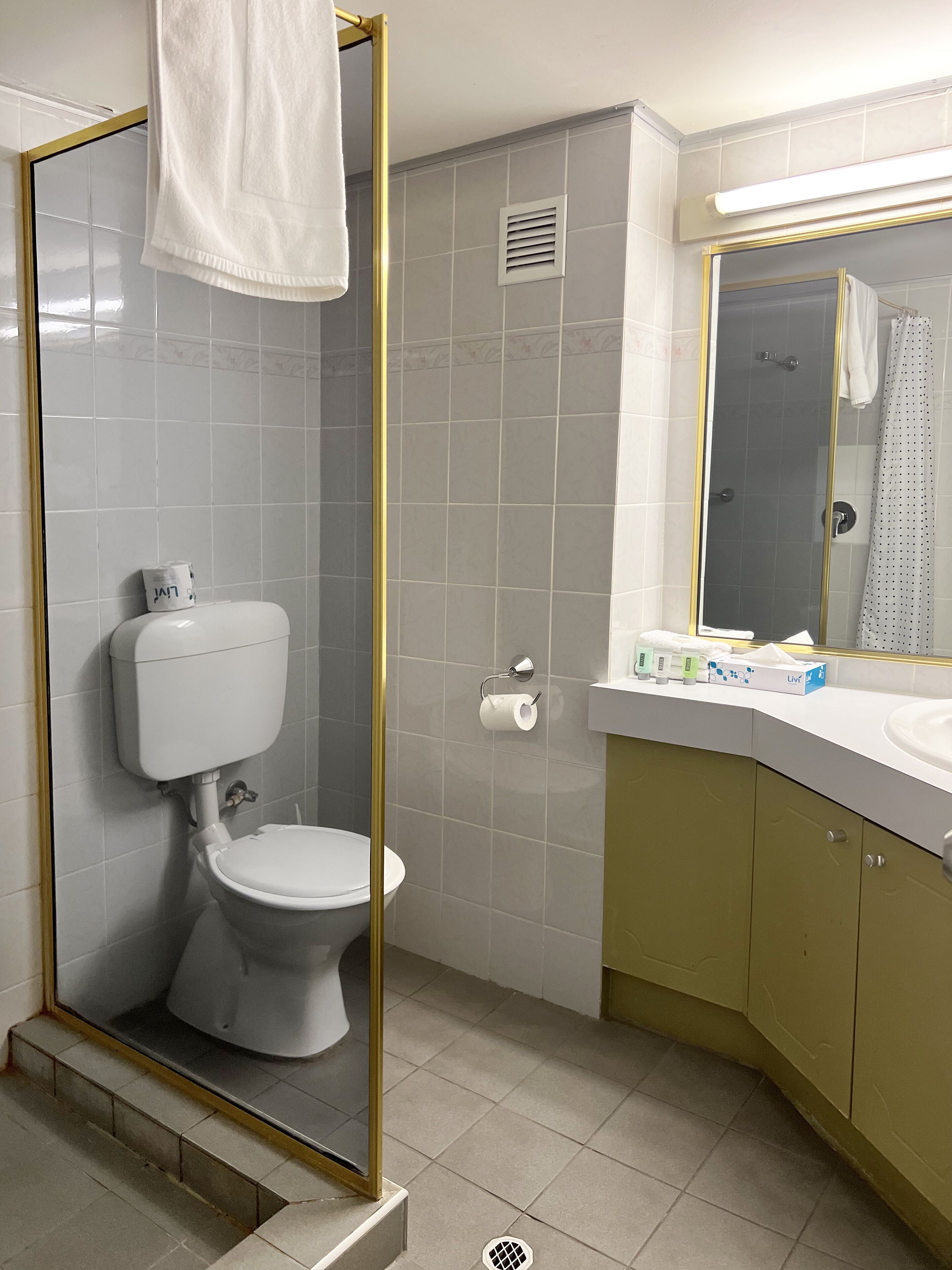 Une salle de bain comprenant des toilettes, un espace douche, un lavabo et un miroir.