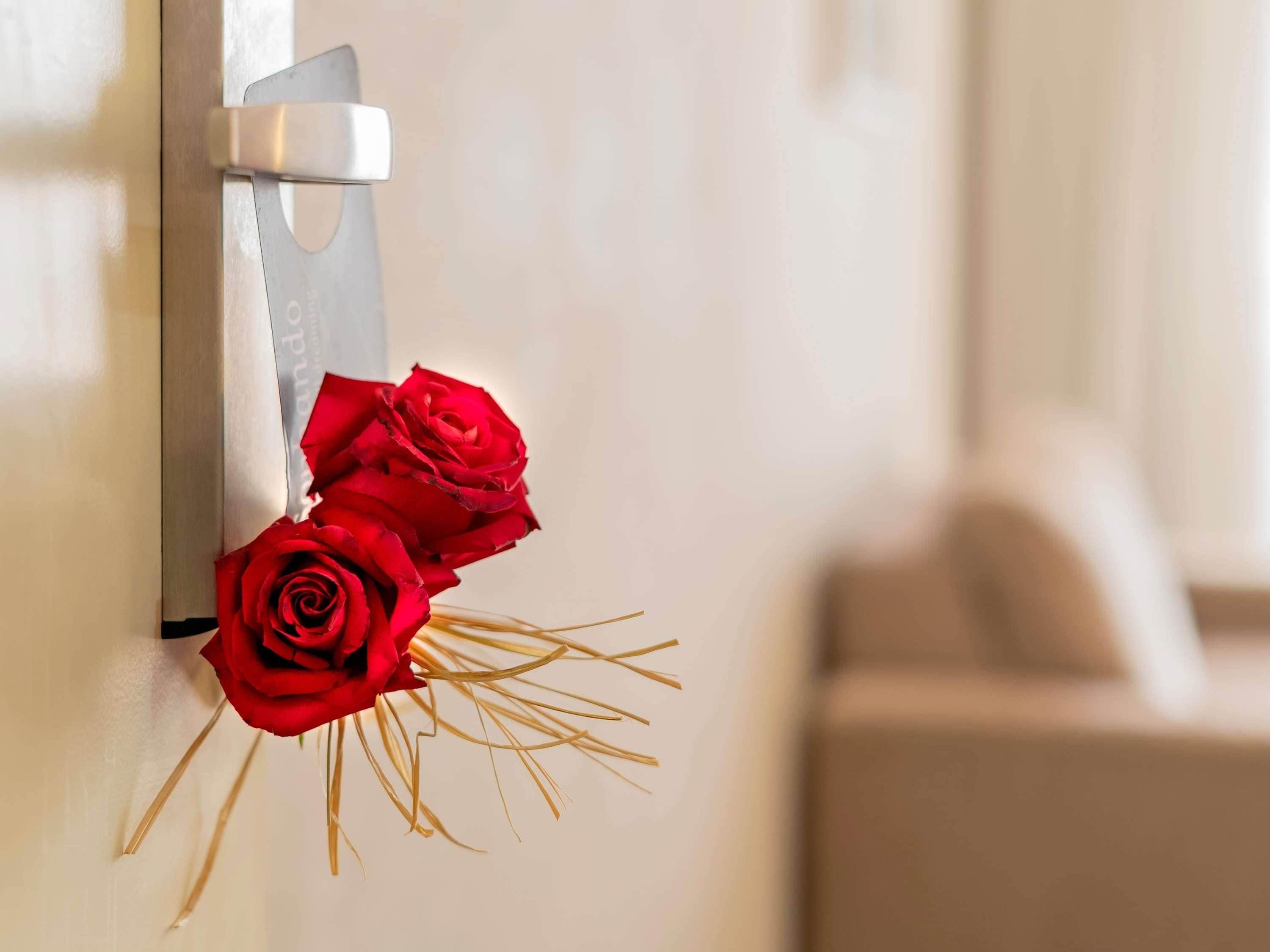 A door with a silver handle and a bouquet of red roses placed on it.