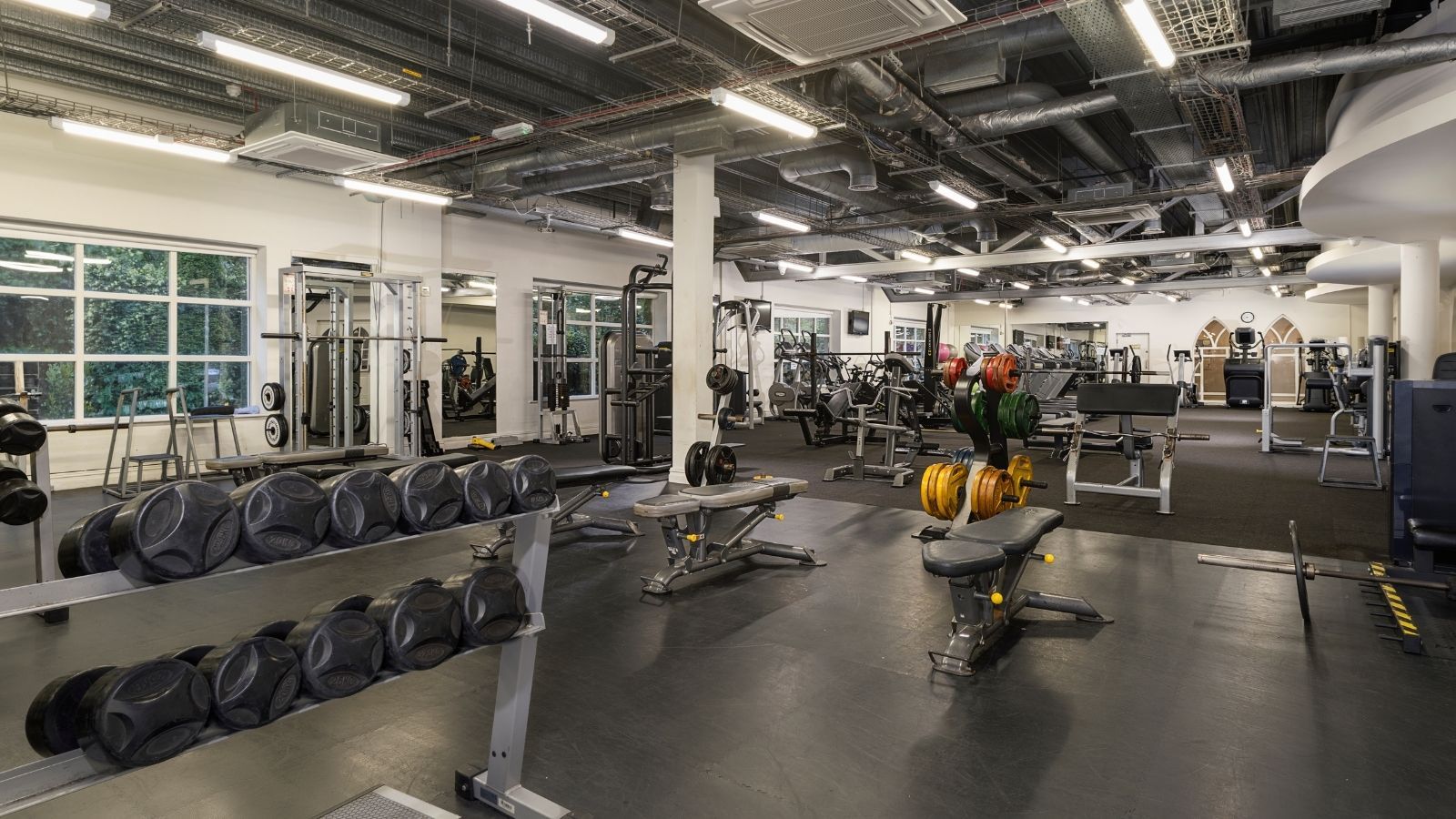 A gym with various weightlifting equipment, treadmills, and exercise machines.