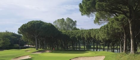 Campo de golfe com bunkers de areia, árvores e céu limpo.
