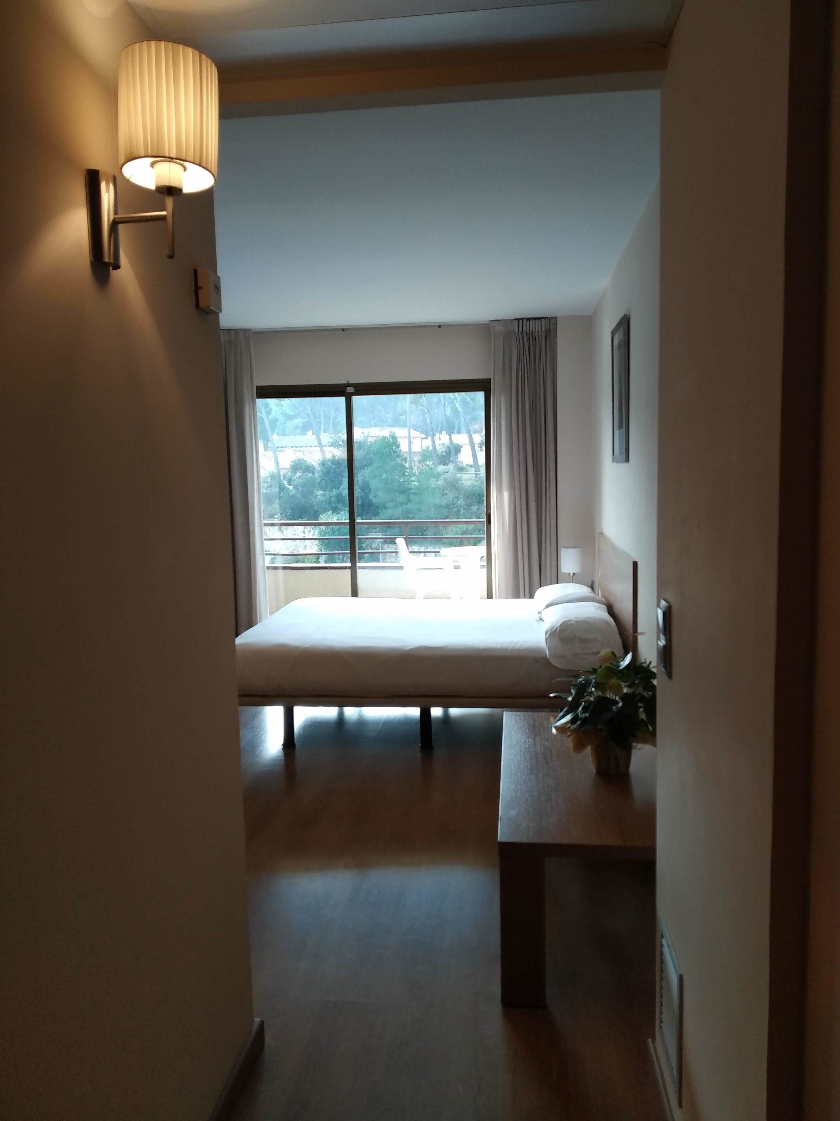 Camera d'albergo con un letto, un comodino con una pianta, una finestra che offre vista su alberi e edifici, e una lampada a parete.