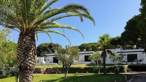 A residential area with white houses, a palm tree, and a stone wall. - Prado do Golf (Loulé)