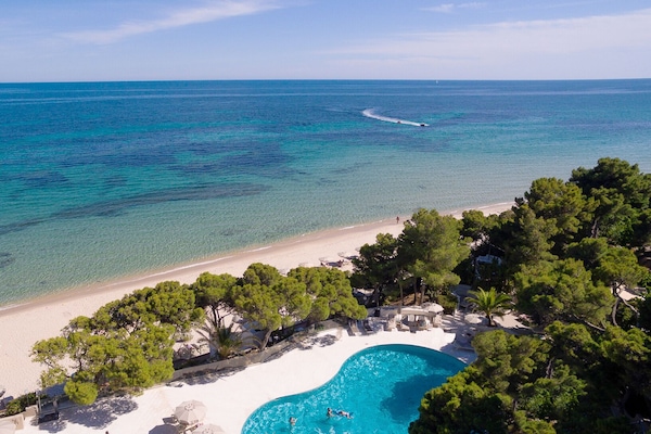Plage privée, sable blanc, chaises longues, parasols