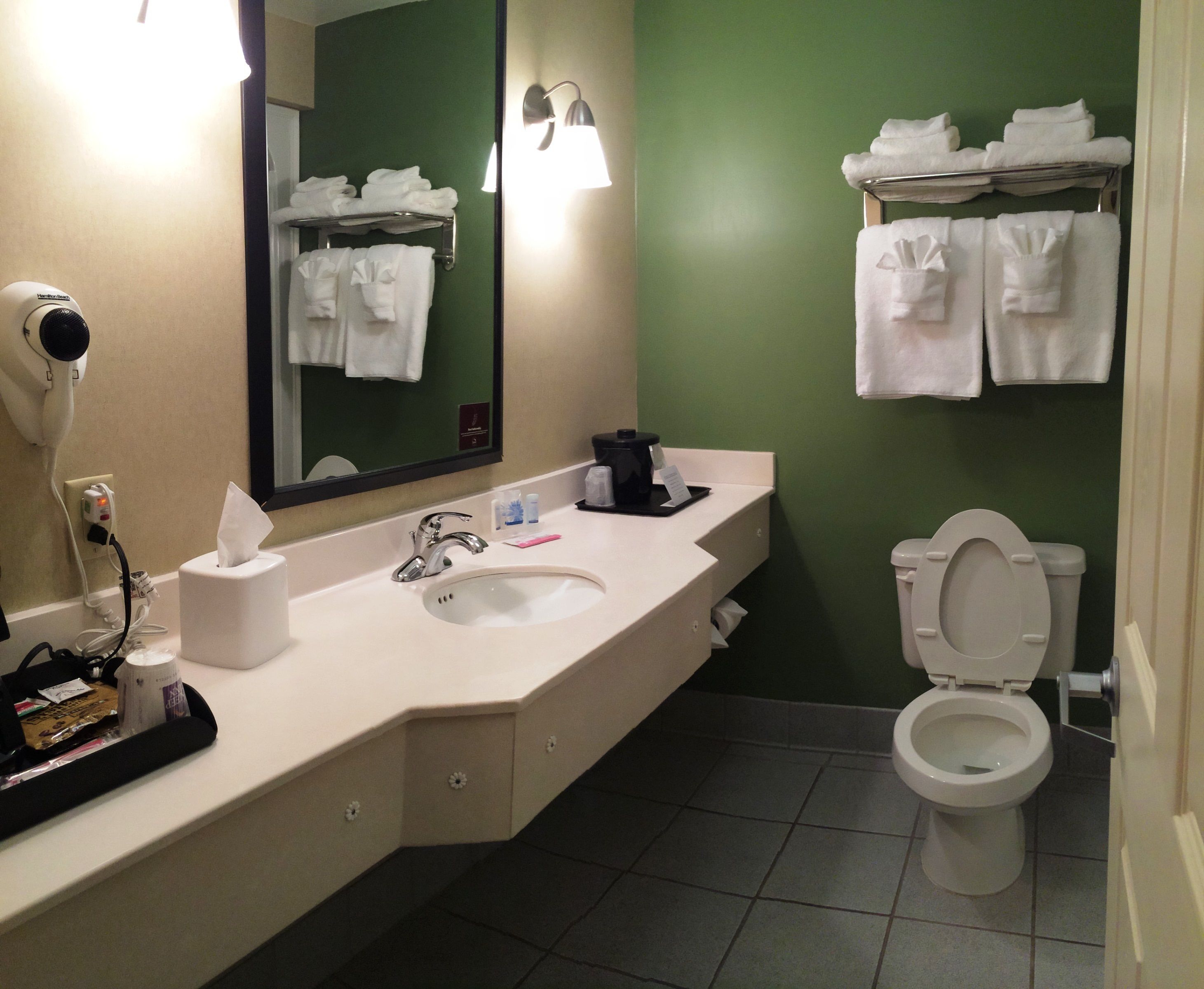 combined shower/bathtub, free toiletries, hair dryer, towels