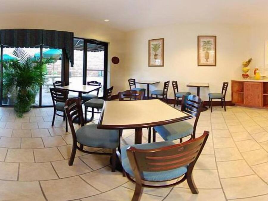 Un ristorante con diversi tavoli e sedie, un'ampia pianta in vaso e opere d'arte appese alle pareti.