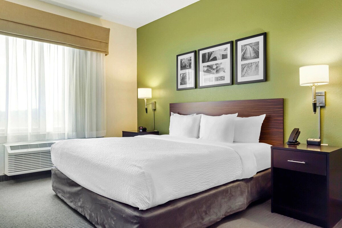 A hotel room with a large bed, a nightstand, a lamp, and a wall with framed pictures.