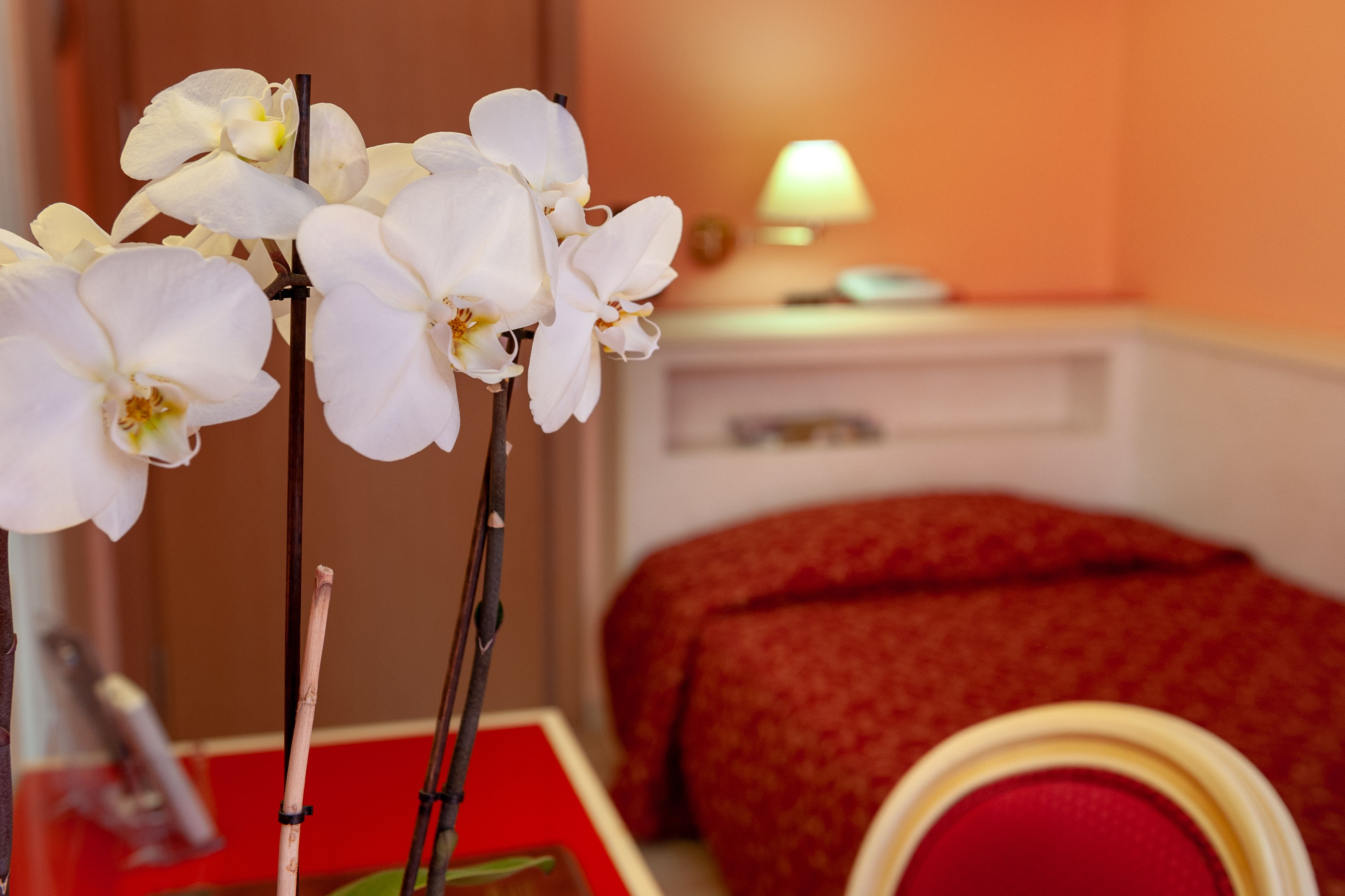 single room | select comfort beds, minibar, in-room safe, desk