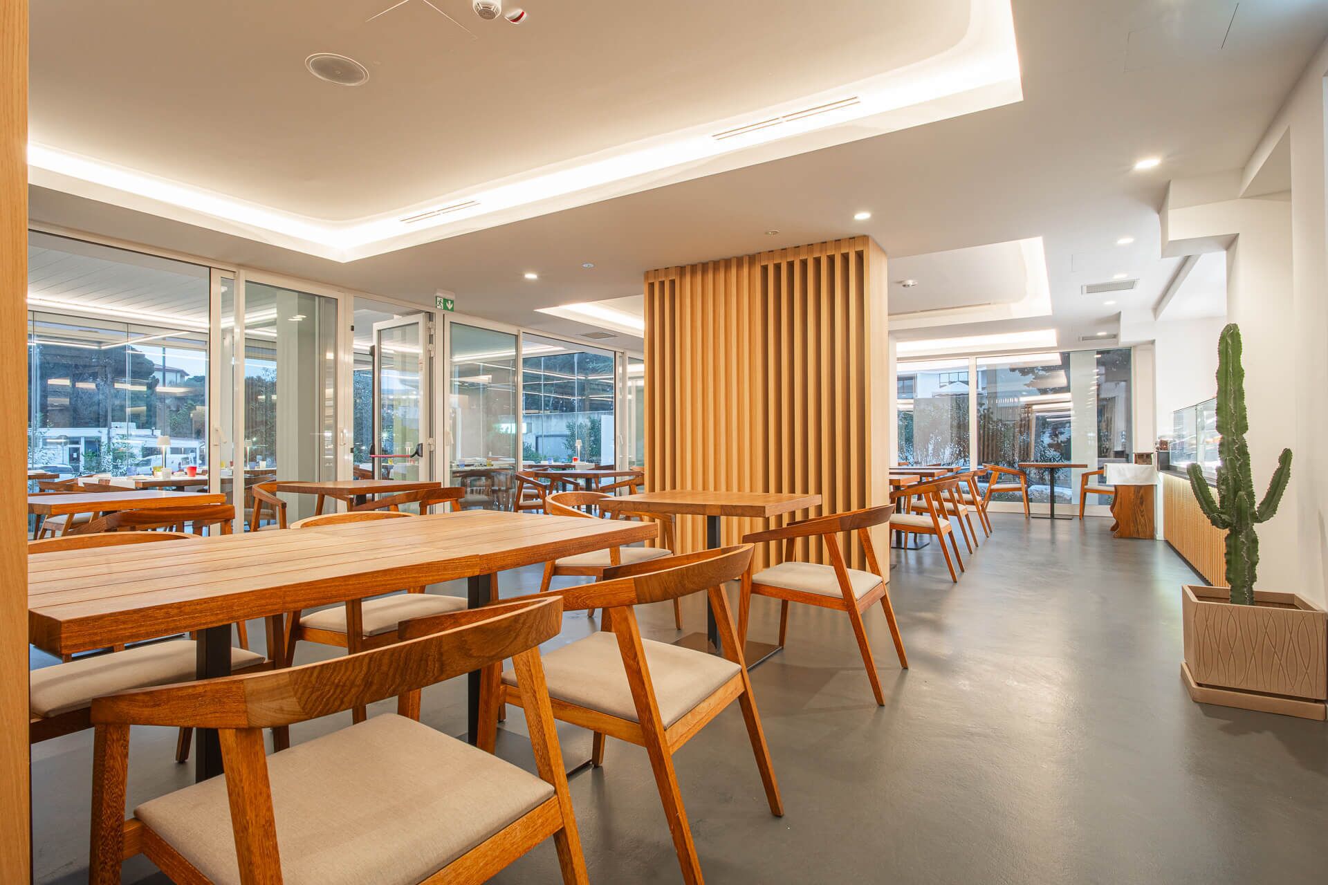A modern dining area with wooden tables and chairs, large windows, and a cactus plant.