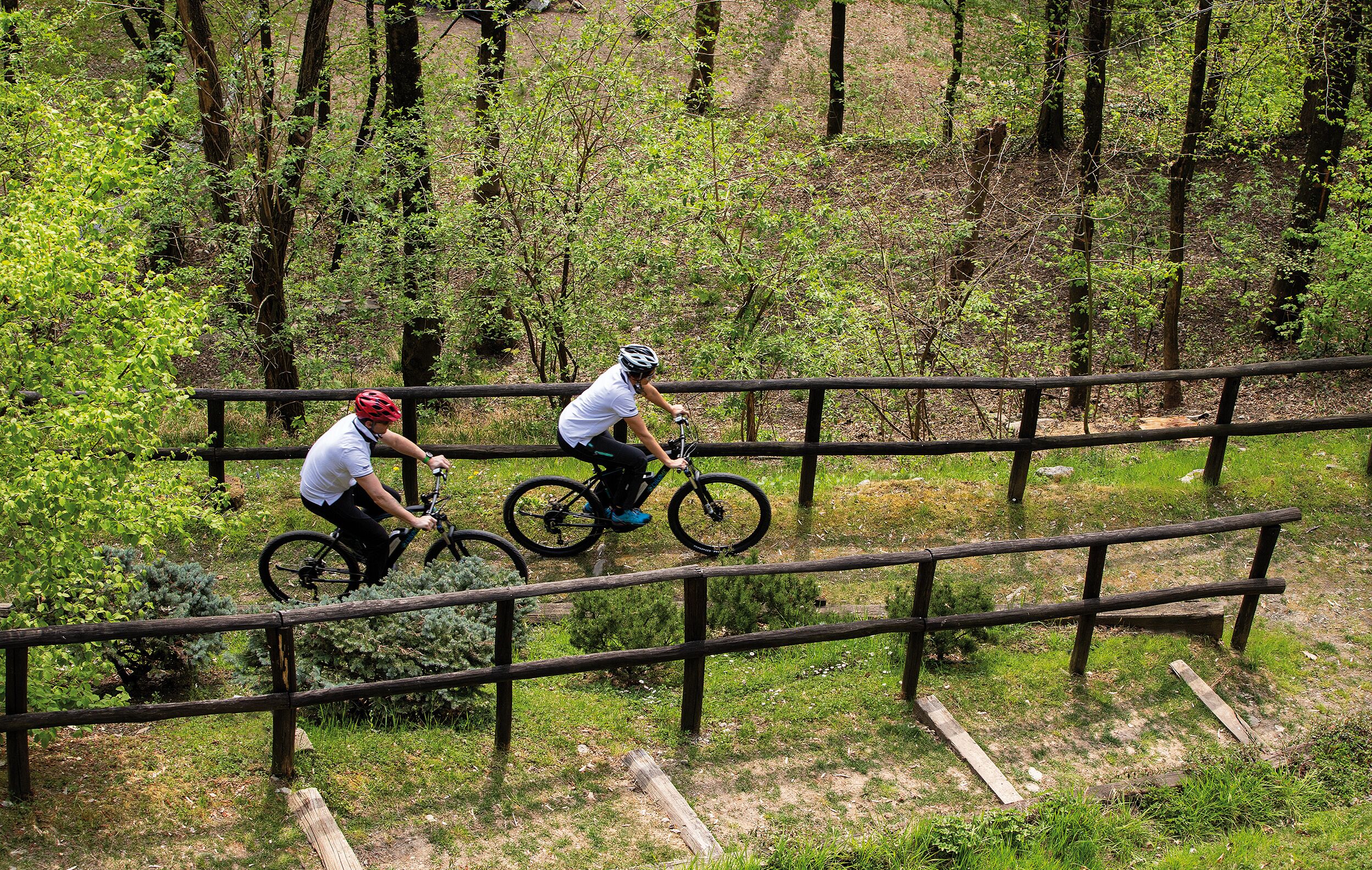 Dos ciclistas en un puente de madera en un área boscosa.