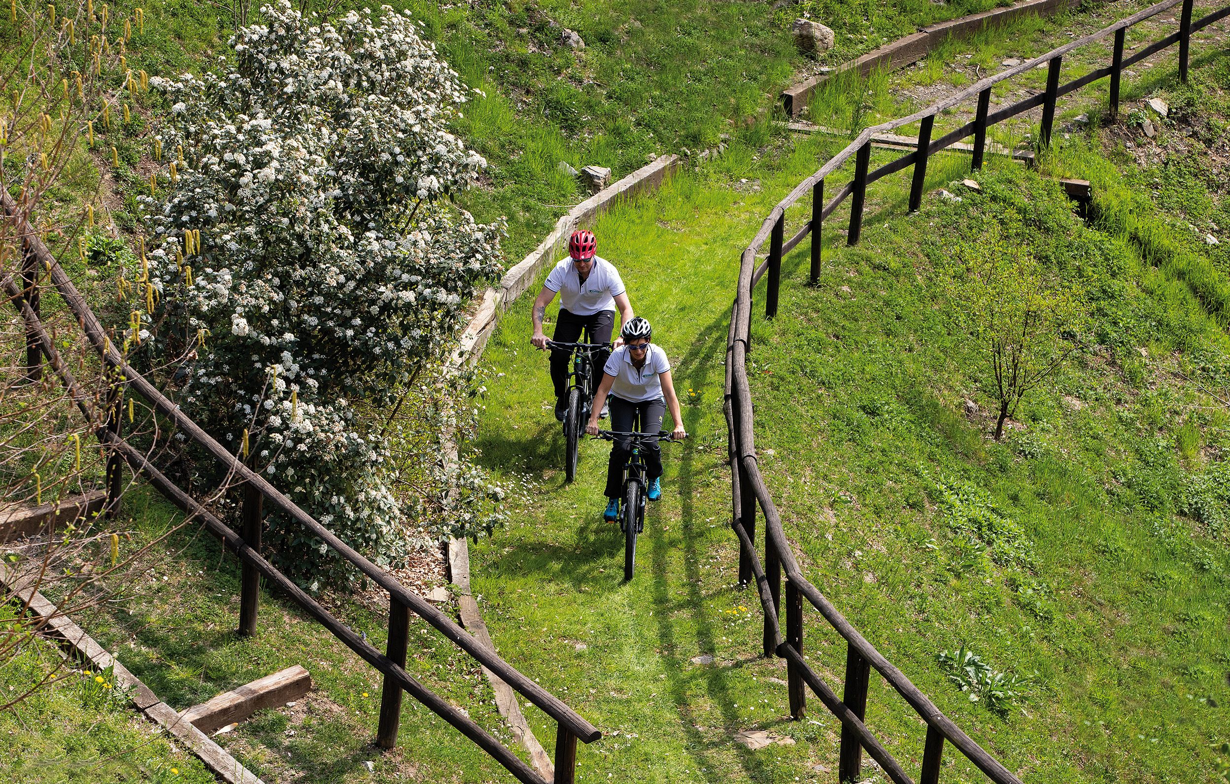 Photo - Hotel Resort & Spa Miramonti