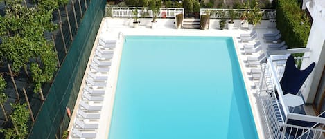 Une piscine sur le toit, avec des chaises longues et un palmier.