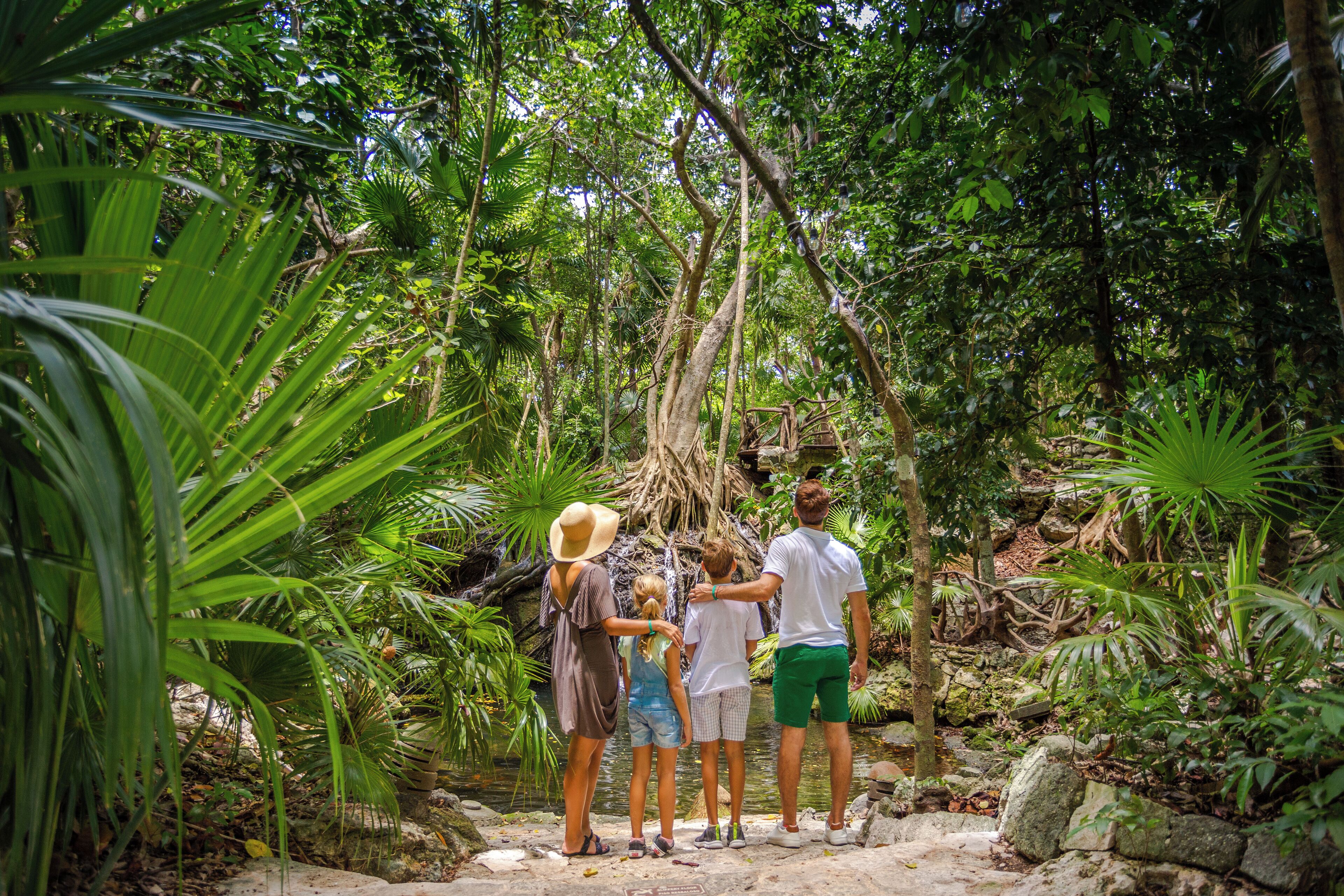 A group of people standing by a natural water feature surrounded by dense tropical foliage.