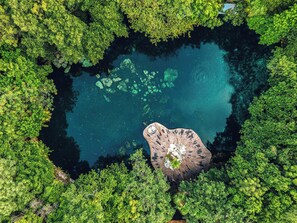 Surrounded by lush greenery, this serene setting features a unique rock formation and a tranquil body of water.