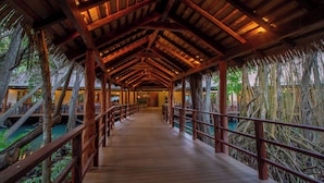 Une passerelle en bois surmontée d’un toit de chaume, entourée d’une végétation luxuriante et d’arbres.