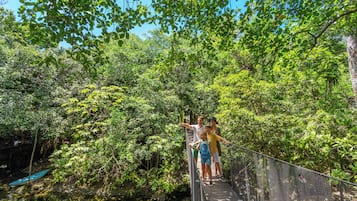 A suspension bridge in a lush forest with dense foliage and a clear blue sky.