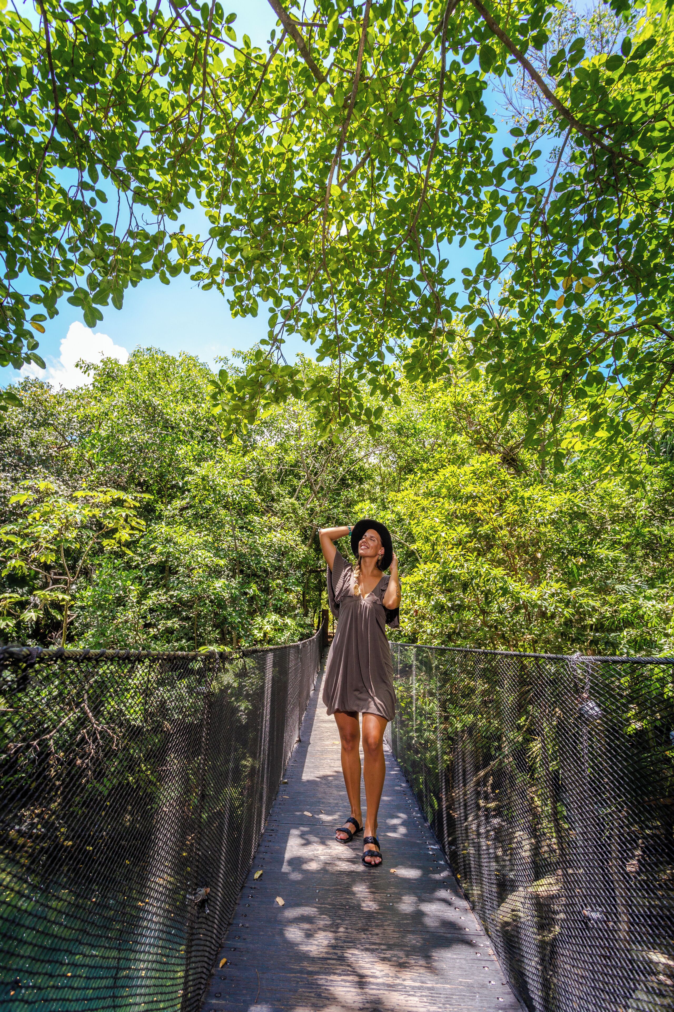 A person standing on a bridge with a netted railing, surrounded by dense green foliage and trees.