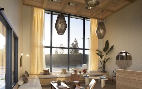 A spacious living room with a large window, a sofa, a coffee table, and a plant.