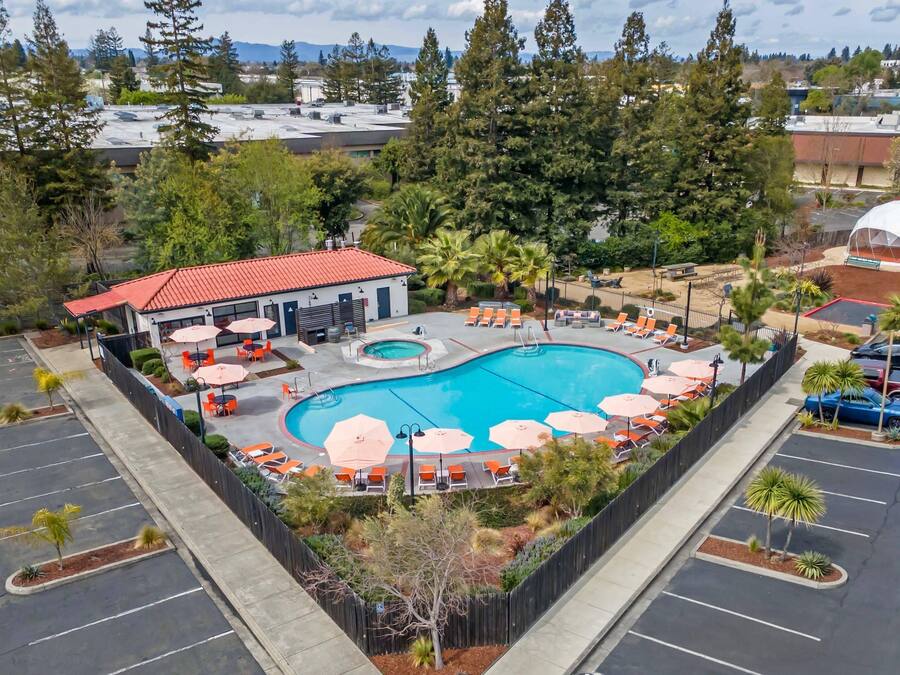 A swimming pool with lounge chairs and umbrellas, surrounded by a fence and trees.