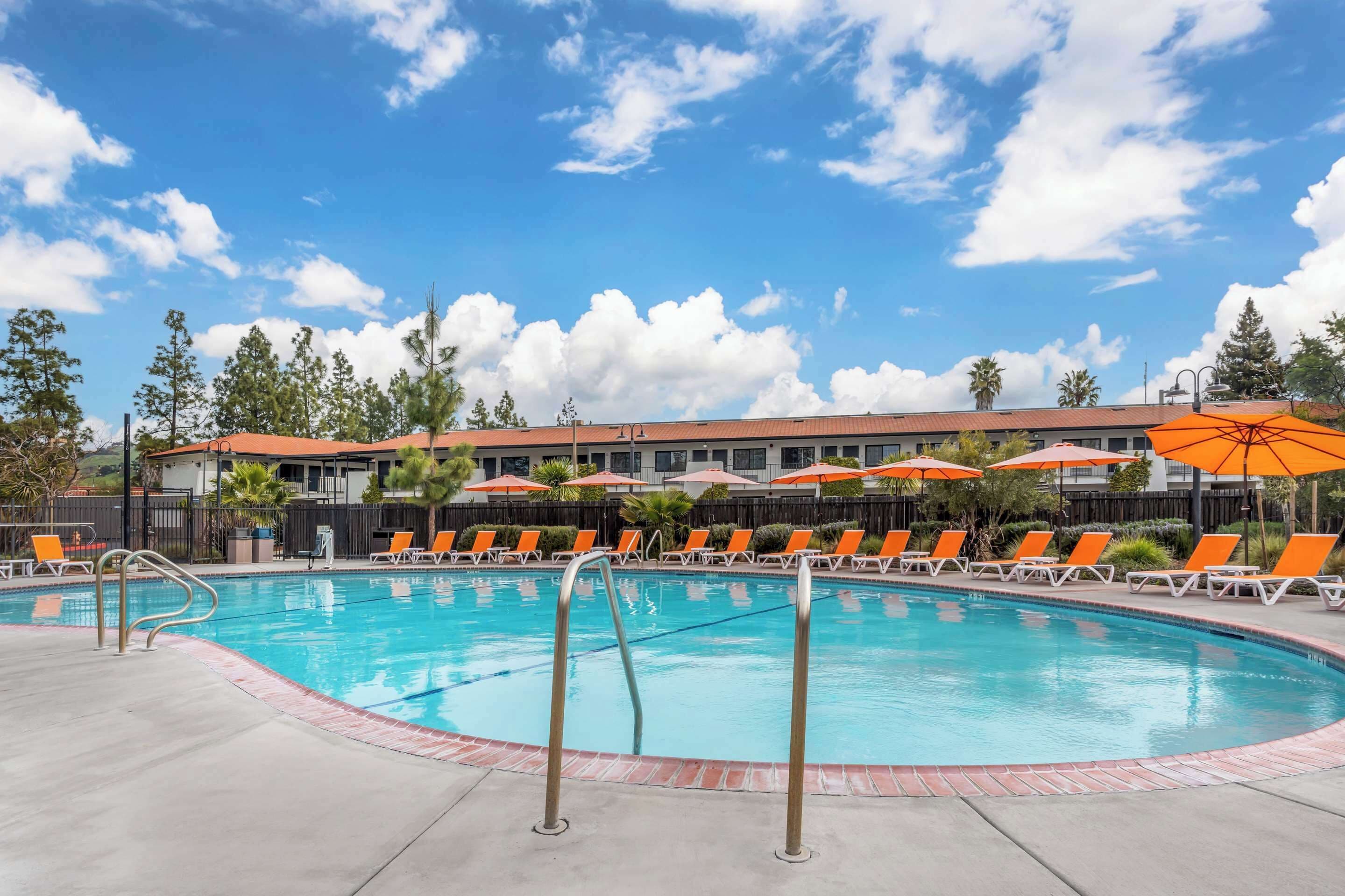 Outdoor pool, pool umbrellas, sun loungers