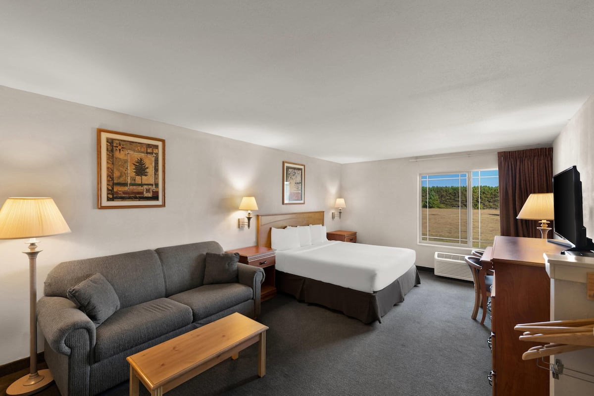 A hotel room with a bed, a sofa, a desk, and a TV.