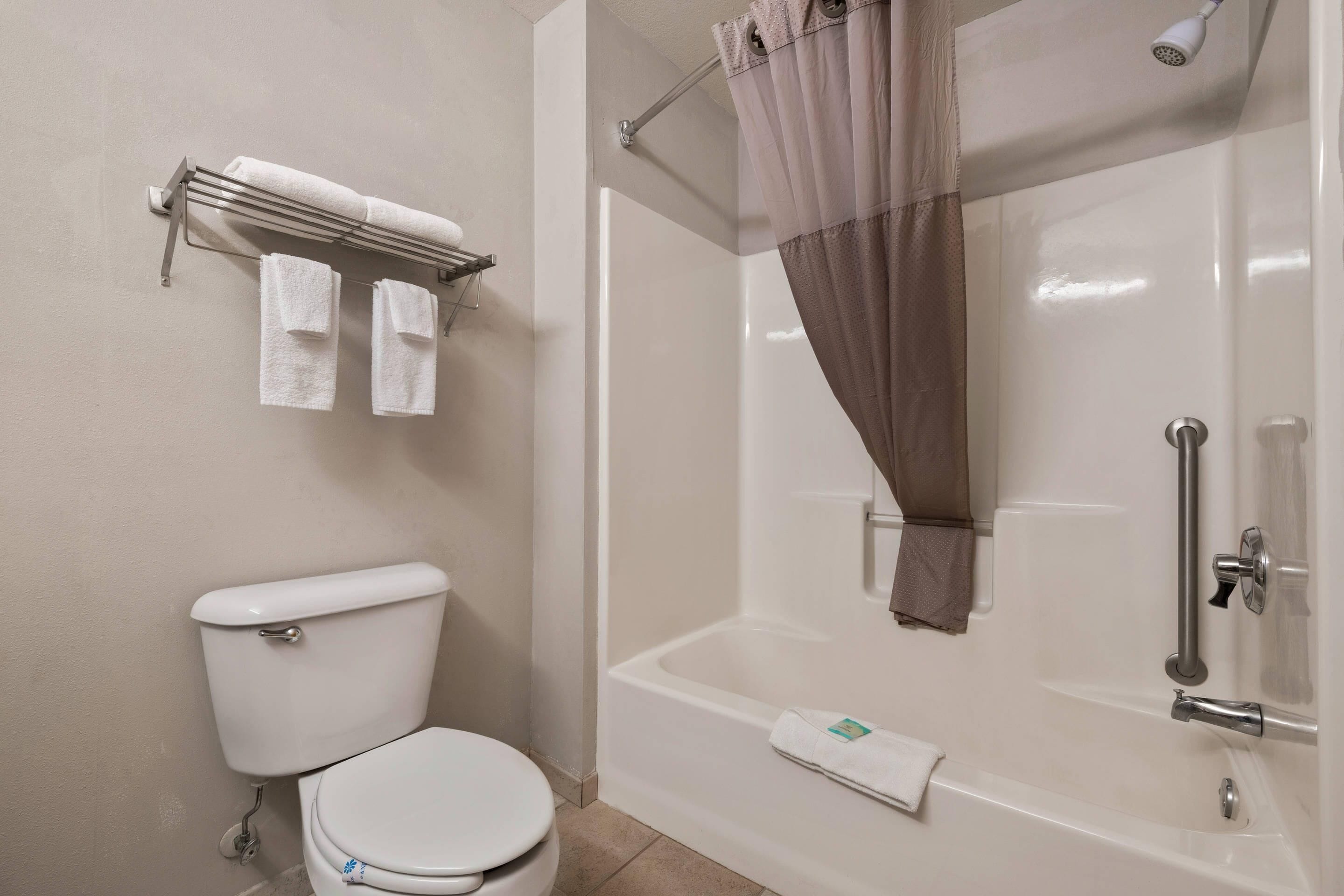 Et badeværelse med toilet, bruser med gardin og et håndklædestativ med to håndklæder.