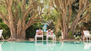 Un área junto a la piscina con dos sillones de descanso, un árbol grande y un edificio al fondo.