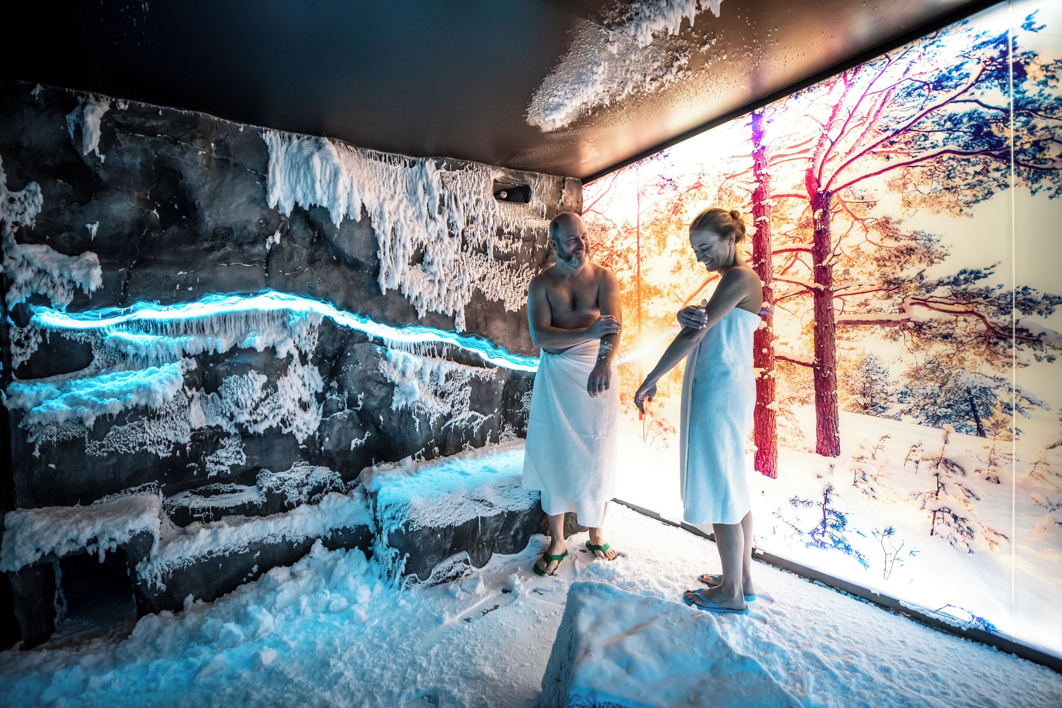 A room with a rock wall, ice formations, and a mural of a snowy landscape.