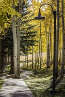 Un sendero bordeado por árboles y un farol.