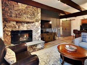 Deluxe One Bedroom ~ C2C | Living area | Flat-screen TV, DVD player - The Timberline Condominiums (Snowmass Village)