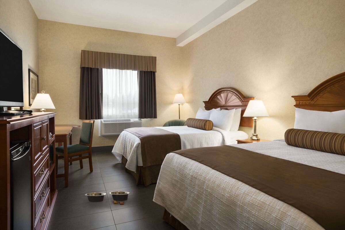 Una habitación de hotel con dos camas, un escritorio con televisor, y una silla. Hay dos mesitas de noche con lámparas y una ventana con cortinas.