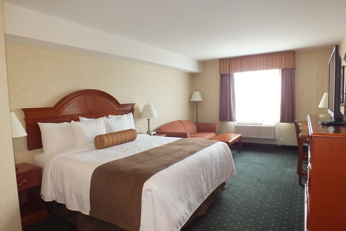 Room, 1 King Bed, Non Smoking (Not Pet Friendly)