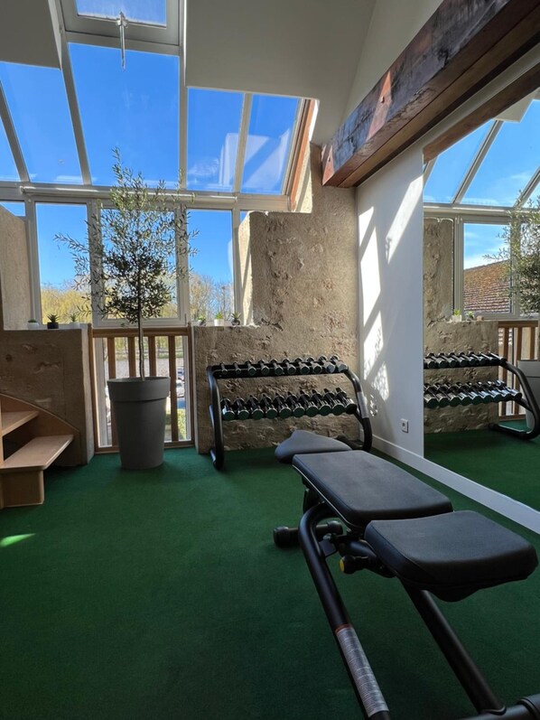 Une salle de sport équipée de matériel d’exercice, d’un banc et d’une plante en pot.