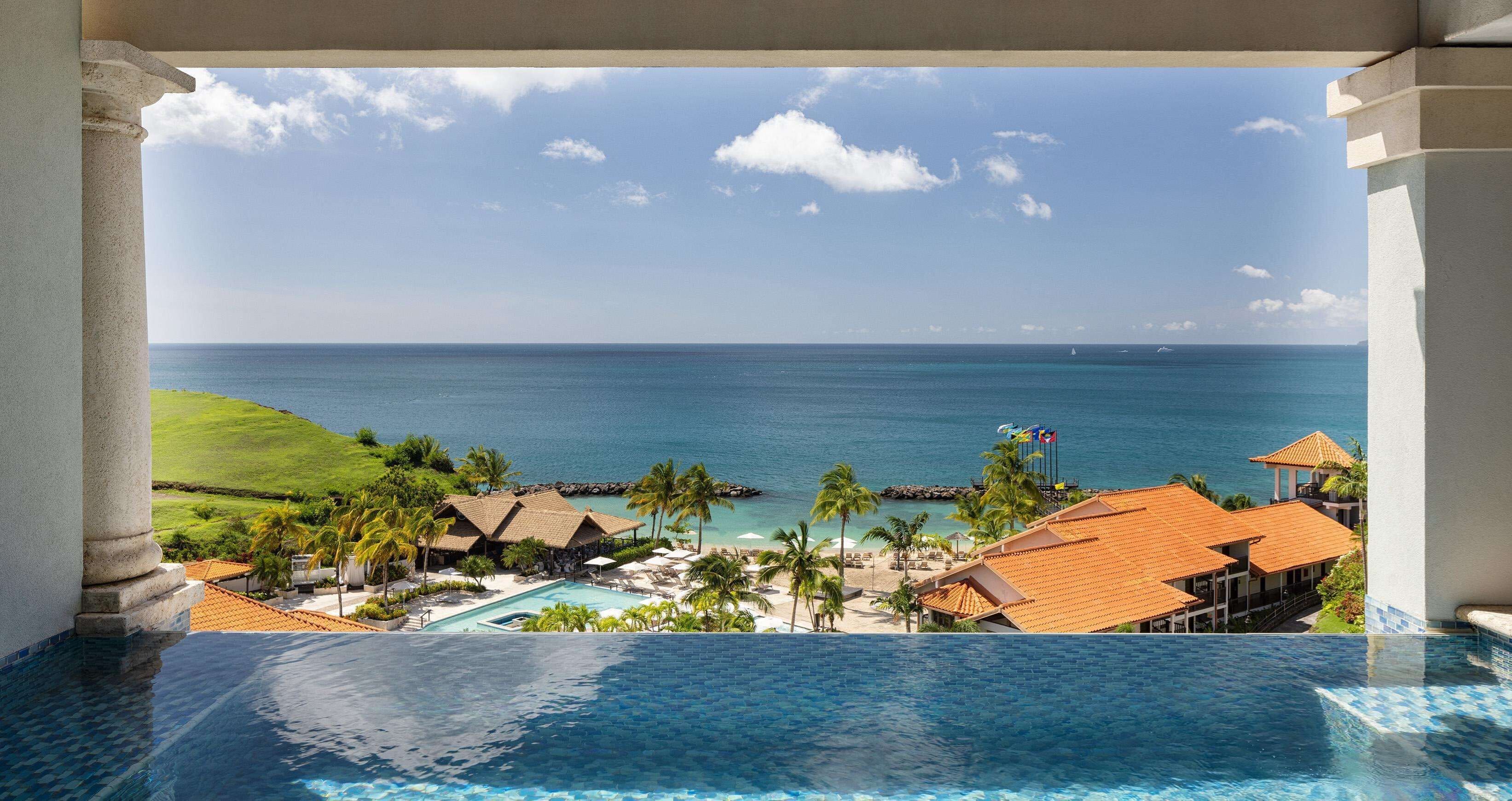 A resort with a pool overlooking the ocean, palm trees, and a clear sky.