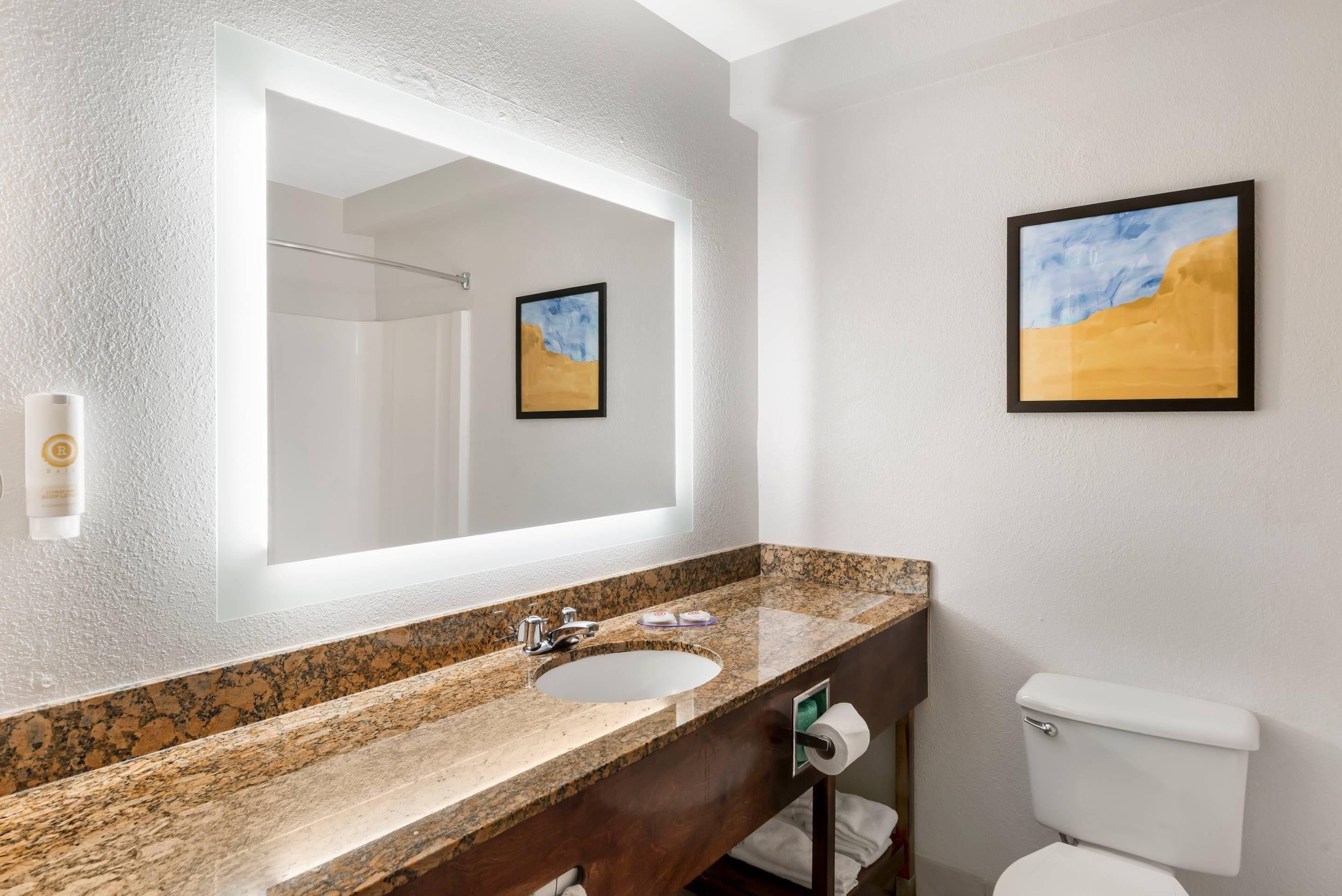 A bathroom with a granite countertop sink, a large mirror, a toilet, and a framed painting on the wall.