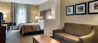 Comfort Inn & Suites Suwanee - Sugarloaf