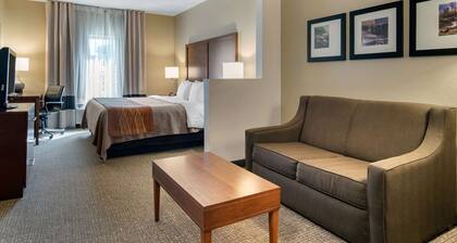 Comfort Inn & Suites Suwanee - Sugarloaf