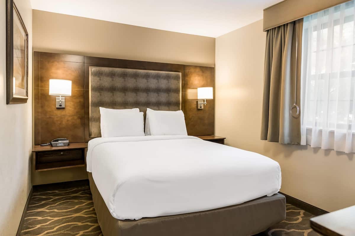 Studio Suite, 1 Queen Bed, Accessible, Non Smoking | Desk, iron/ironing board, free wired internet, bed sheets