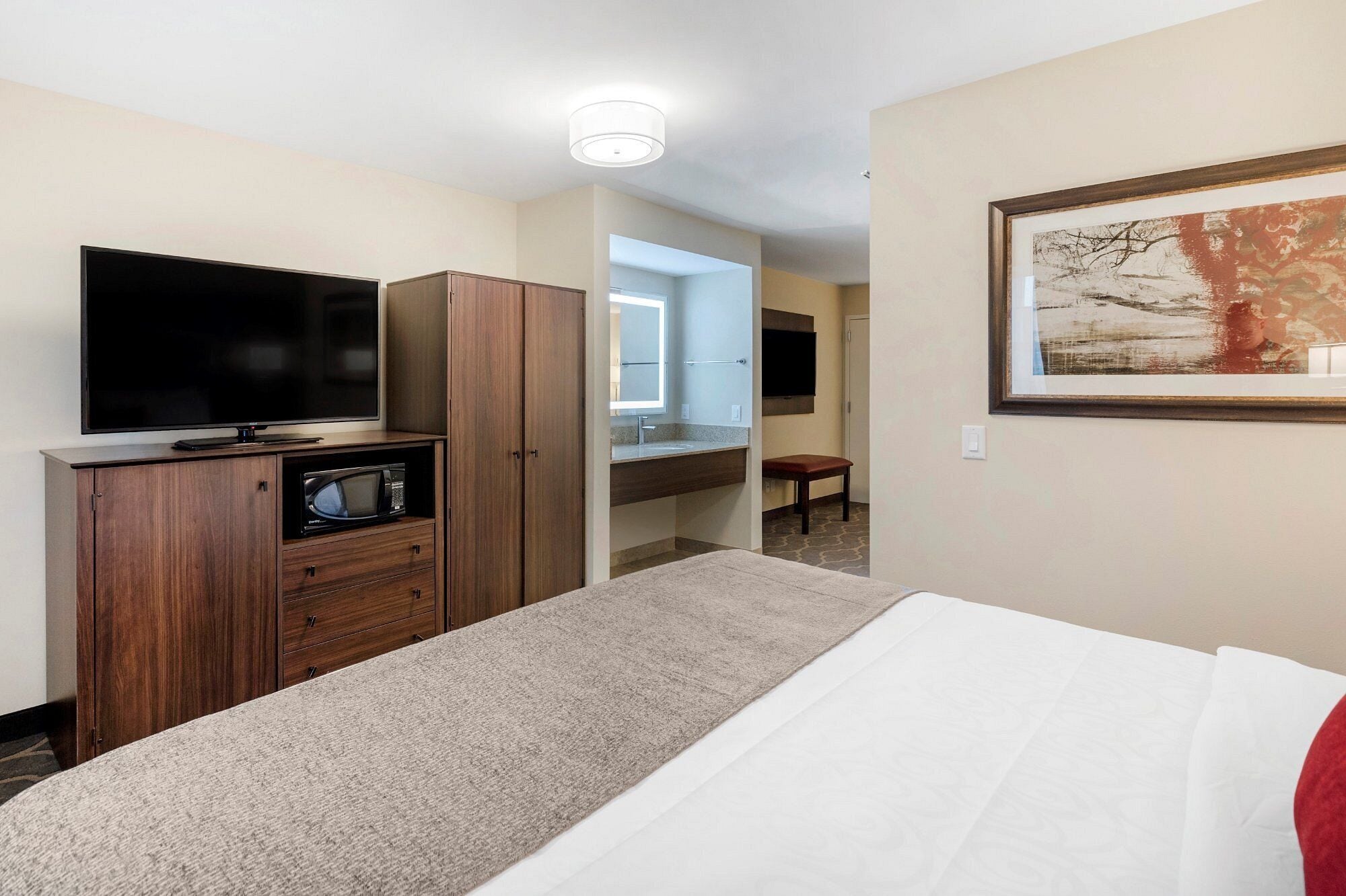 Habitación de hotel con cama, televisor, microondas, armario, baño con espejo y un cuadro en la pared.