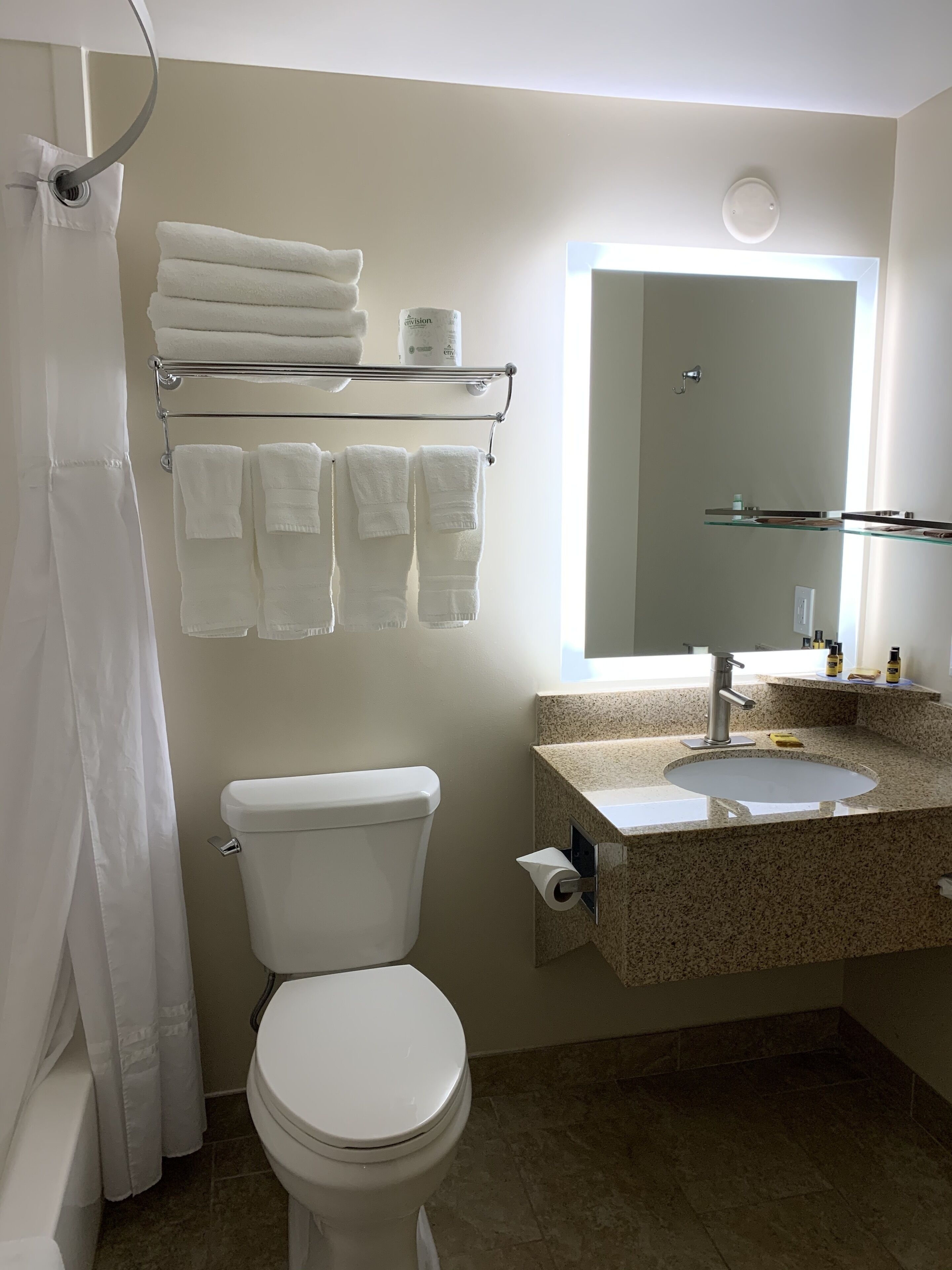 A bathroom with a toilet, a glass-towel rack, a sink with a mirror, and a shower curtain.